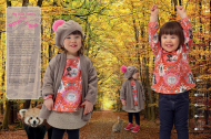 Magazine Ottobre Design 04/2015 kids autumn